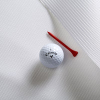 Carl's Place Golf Impact Screen